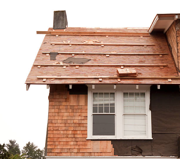 Best Storm Damage Siding Repair  in Diboll, TX